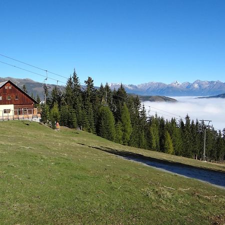 Haus Edelweiss Daire Sankt Margarethen im Lungau Dış mekan fotoğraf
