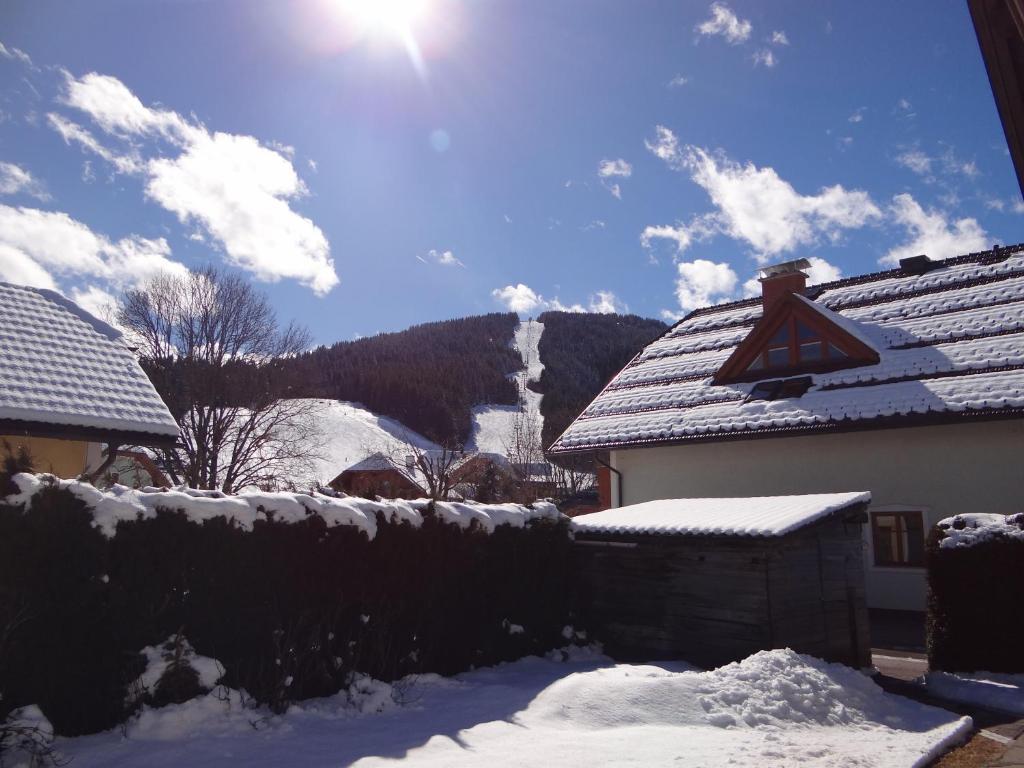 Haus Edelweiss Daire Sankt Margarethen im Lungau Dış mekan fotoğraf